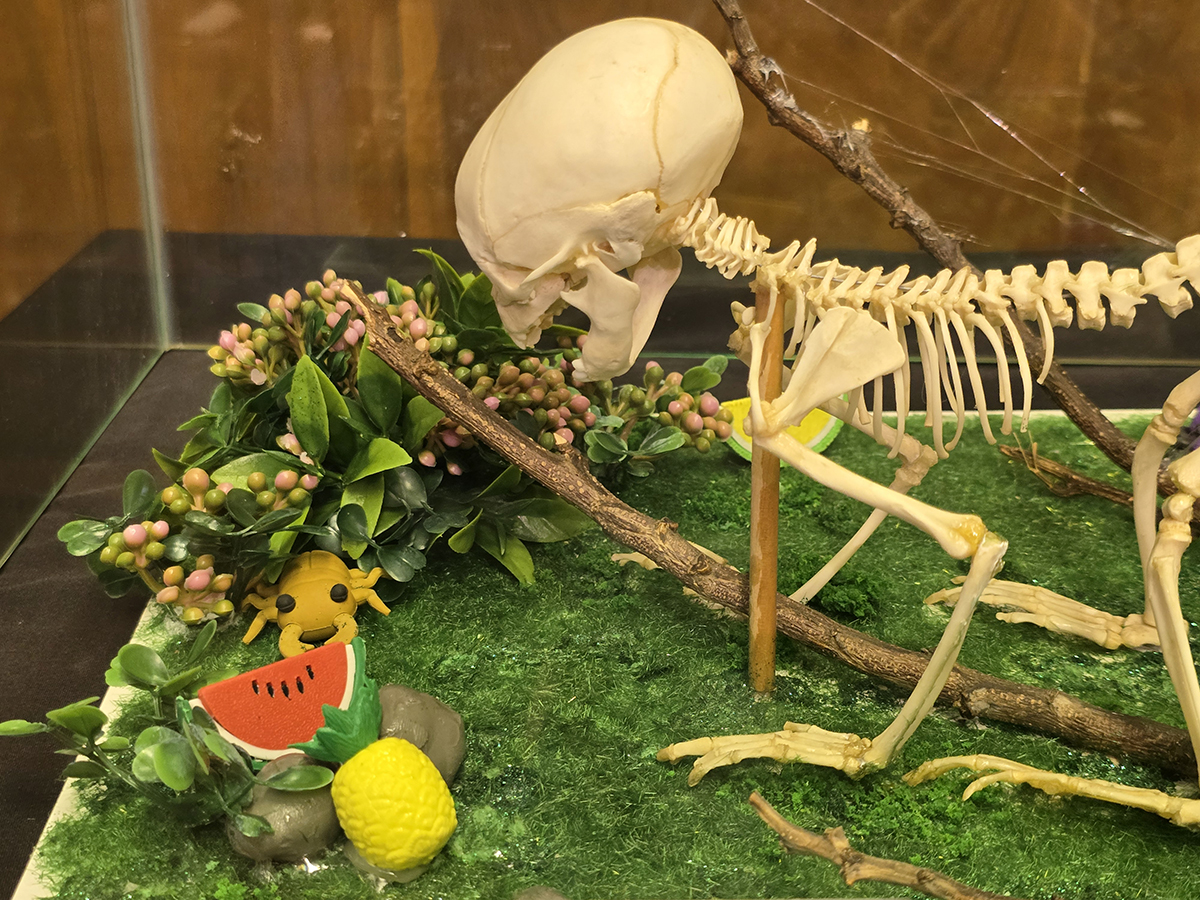 Bangkok 3: Benchakitti park and Museum of Natural History